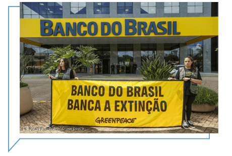 Ativistas do Greenpeace Brasil realizaram um protesto pacífico na sede do Banco do Brasil, em Brasília, para mostrar à instituição o resultado das falhas no processo de concessão de crédito, que leva ao desmatamento da Amazônia, e em outros biomas, e à nossa própria extinção.&nbsp;  Na ação, ativistas do Greenpeace montaram um cenário de devastação e morte na porta do banco, com personagens representando as instituições financeiras, e sua falta de cuidado com a proteção do meio ambiente, além de árvores queimadas e animais - vítimas diretas da perda de florestas. Com essa manifestação, o Greenpeace reforça o papel urgente do sistema financeiro em interromper recursos para a destruição ambiental, que por sua vez fomenta a emergência climática e a crise da biodiversidade.